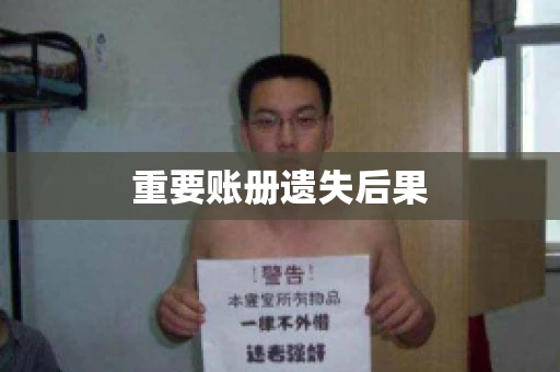 重要账册遗失后果