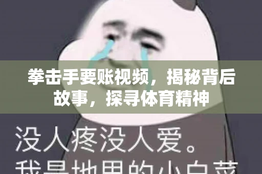 拳击手要账视频,揭秘背后故事,探寻体育精神 拳击手要账视频,揭秘背后故事,探寻体育精神