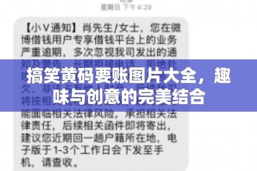 搞笑黄码要账图片大全，趣味与创意的完美结合