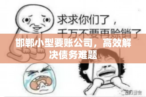 邯郸小型要账公司，高效解决债务难题