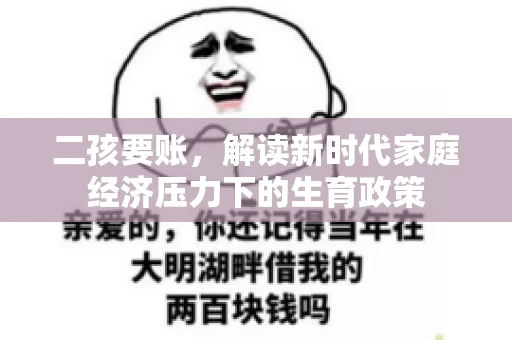 二孩要账，解读新时代家庭经济压力下的生育政策