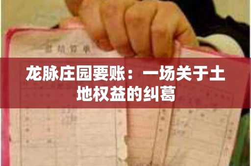 龙脉庄园要账:一场关于土地权益的纠葛 龙脉庄园要账:一场关于土地权益的纠葛