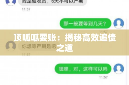 顶呱呱要账：揭秘高效追债之道