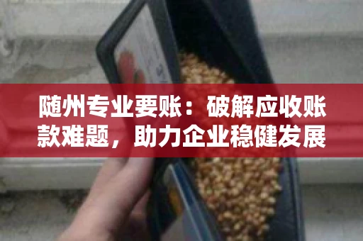 随州专业要账:破解应收账款难题,助力企业稳健发展 随州专业要账:破解应收账款难题,助力企业稳健发展