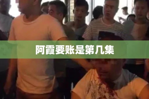 阿霞要账是第几集 阿霞要账是第几集