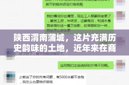 陕西渭南蒲城，这片充满历史韵味的土地，近年来在商业活动中也展现出了其独特的活力。其中，关于“陕西渭南蒲城要账”的话题，成为了不少企业关注的焦点。今天，我们就来聊聊这个话题，看看在蒲城，要账的那些事儿。