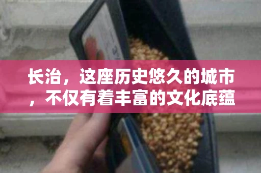 长治，这座历史悠久的城市，不仅有着丰富的文化底蕴，也是商业活动频繁的地方。那么，长治有要账公司吗？这个问题对于许多企业来说至关重要。今天，我们就来聊聊长治的这些要账公司，看看它们能为企业和个人提供哪些服务。