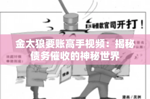 金太狼要账高手视频：揭秘债务催收的神秘世界