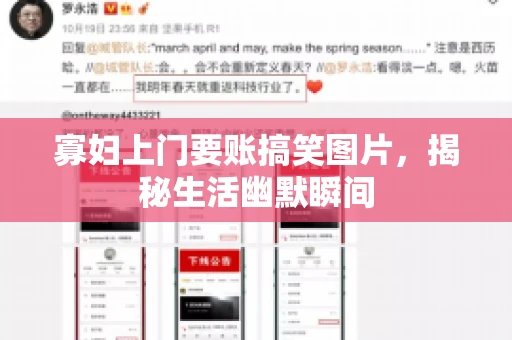 寡妇上门要账搞笑图片，揭秘生活幽默瞬间