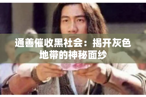 通善催收黑社会：揭开灰色地带的神秘面纱