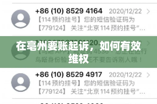 在亳州要账起诉，如何有效维权