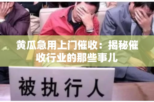 黄瓜急用上门催收：揭秘催收行业的那些事儿
